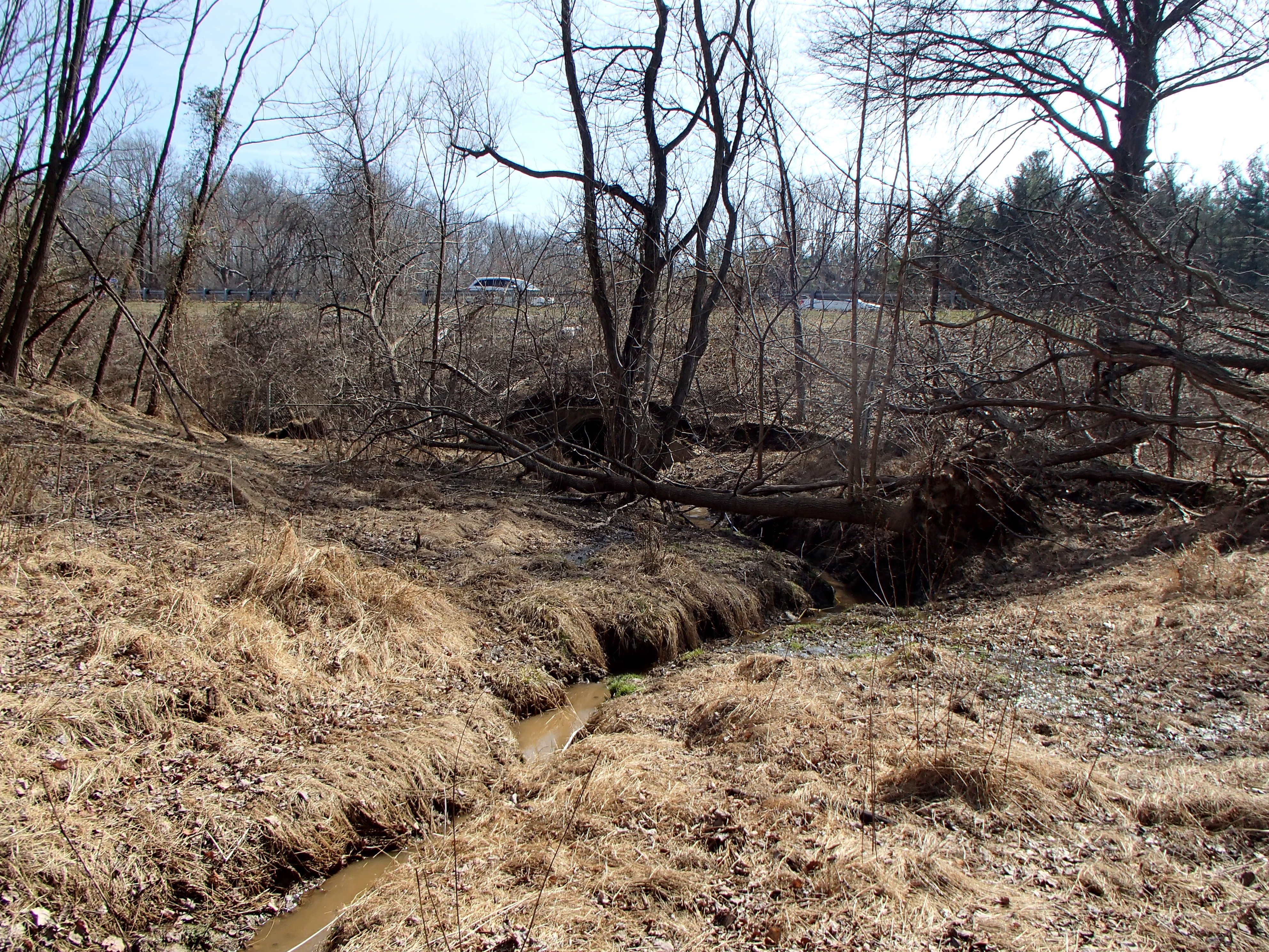 Field photo showing stream conditions at site MPAX-104-R-2016_Midpoint looking downstream
